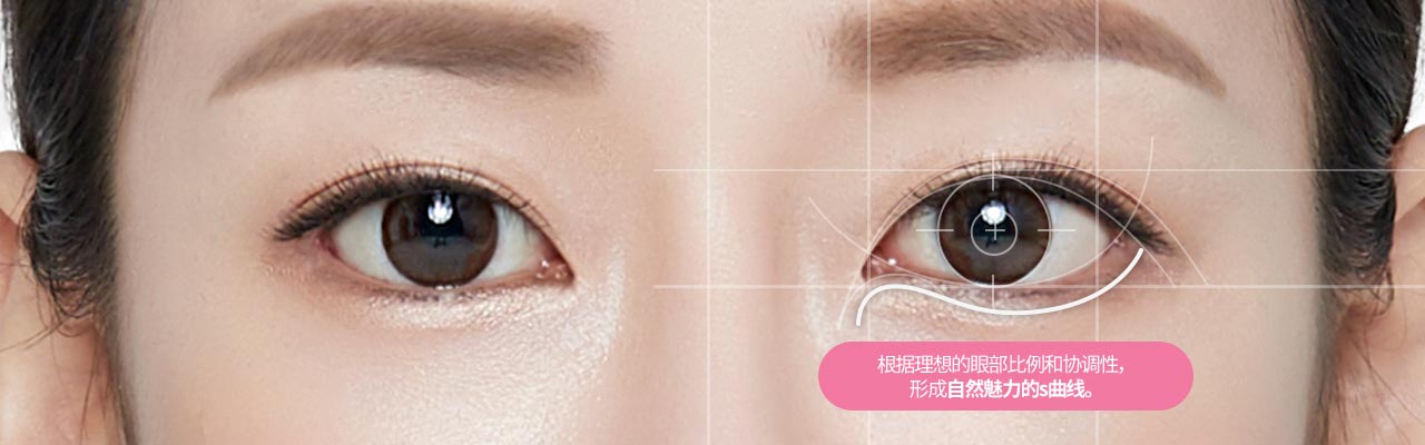 根据理想的眼部比例和协调性,形成自然魅力的s曲线。
