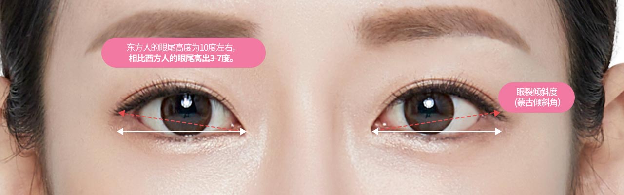 东方人的眼尾高度为10度左右,相比西方人的眼尾高出3-7度。